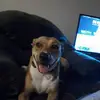 Renee Wittman - @renee.wittman - TikTok