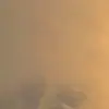 Renee_worrell - @renee_worrell7 - TikTok
