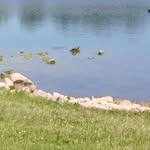 Renee Yates - @renee.yates.5891 - Instagram