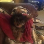 Renee Yates-Reichard - @yatesreichard - Instagram