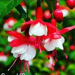 Renit Chacko - @renitchacko - Instagram
