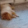 Rennie Smith - @rennie.smith - TikTok