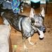 Reno Johnson - Facebook