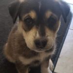 Reno Johnson - @reno.johnson01 - Instagram