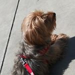 Reno Smith - @babyboy_reno - Instagram