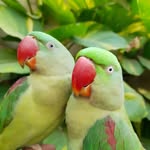 Renu Agarwal - @renu.agarwal.7965692 - Instagram