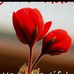 Renu Batra - @renu_batra90 - Instagram