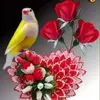 Amina Renuka - @aminarenuka - TikTok
