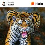 Renuka Jamakandi - @renukajamakandi - Instagram