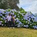 Renuka Narayan - Facebook