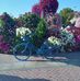 Reny Samuel - Facebook