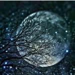 Reny Varghese - @reny.varghese.338 - Instagram