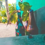 reny Varghese - @_dazz_led_queen_be - Instagram
