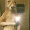 Renzo gutierrez - @renzo.gutierrez93 - TikTok