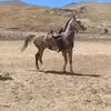 🐎Renzo Gutierrez 🐎 - @renzo.gutierrez97 - TikTok