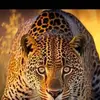 Renzo Guzmán - @renzo.guzmn - TikTok