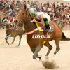 RenzoGuzman🏇🏇💯 - @guz.ren_24 - TikTok