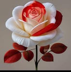 Reshma Begum - Facebook