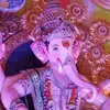 Reshma Desai - @reshmadesai8 - TikTok