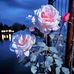 Reshma Sheikh - Facebook