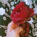 Reshma Sheikh - @reshmasheikh3254 - Instagram