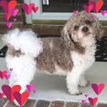 Loretta Lewis - @lorettalewis123 - Instagram