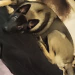 Reuben Castro - @ya_boii_reuben - Instagram