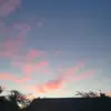 Reuben Cohen  - @rreubencohen13 - TikTok