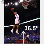 Reuben Cook - @cook.reuben - Instagram