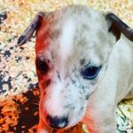 Reuben - @reub.encook90 - Instagram