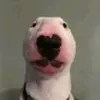 reuben cooper - @badtiktoker80 - TikTok