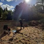 Reuben Davis - @rubes_3_ - Instagram