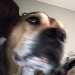 Reuben Downs - @downs.reuben - Instagram