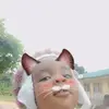 dunams - @estherreuben8 - TikTok