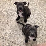 Franklin&Reuben - @franklinandreuben - Instagram