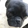 Reuben Griffin - @reuben.griffin10 - TikTok