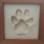 Reuben Gutierrez - @drreuben78 - Instagram
