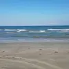 Reuben##🦂✌️ - @reuben.gutierrez - TikTok