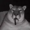 Reuz - @reubenhampton1 - TikTok
