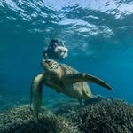 Reuben Hill - @re_ub_en - Instagram