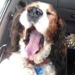 Reuben Hill - @reub2 - Instagram