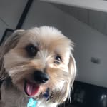 Reuben Hood - @reubens2nd - Instagram