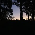 Reuben Howard - Facebook