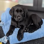 Reuben Hunter - @adventures.of.reuben - Instagram
