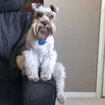 Reuben R. Niemeyer - @reuben_the_wabbit_hunter - Instagram