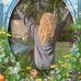 Robyn Lantz - Facebook