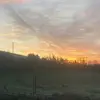 Reuben - @reubenmorgan55 - TikTok