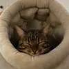 reuben parkin - @reuben.parkin - TikTok