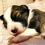 Reuben Parks - @reuben.parks.9210 - Instagram