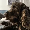 Reuben Patrick✝️ - @reuben.patrick02 - TikTok